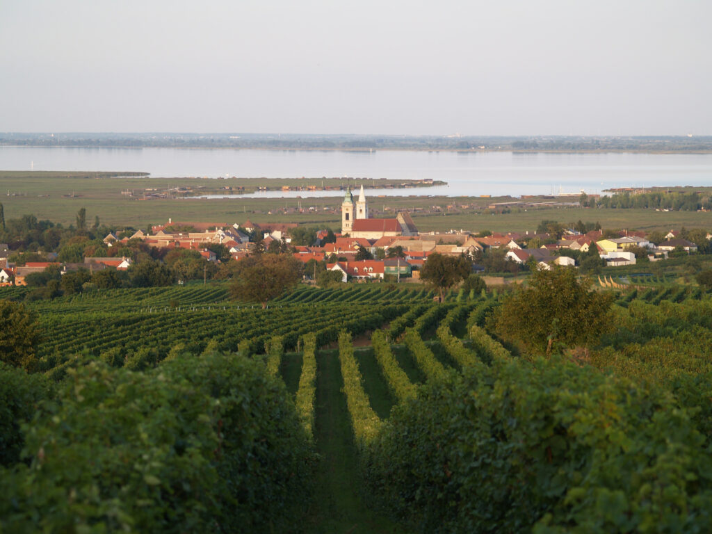 Copyright Weingut Landauer