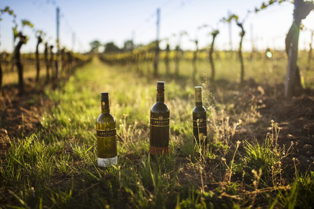 Landauer Weine